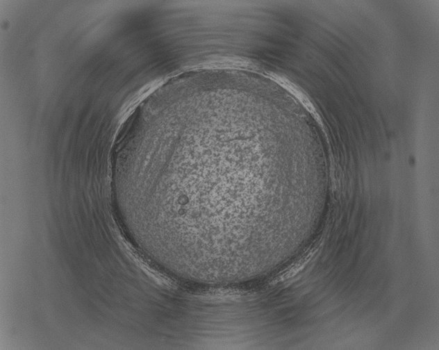 X0000077320437200611101502