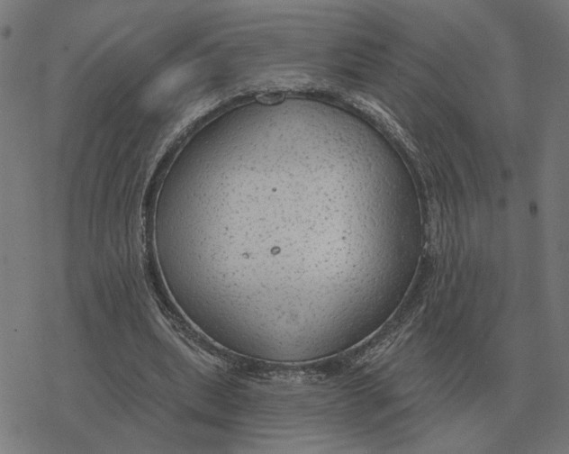 X0000077320439200611101502