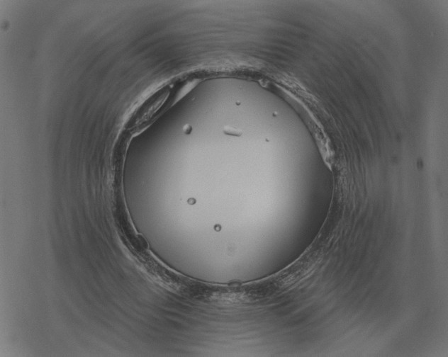 X0000077320440200611101502