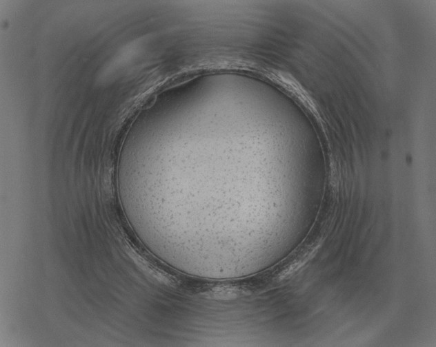 X0000077320441200611101502