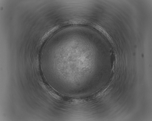 X0000077320442200611101502