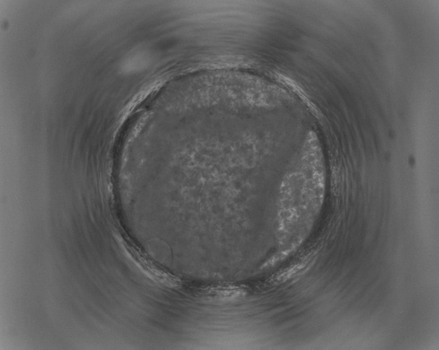 X0000077320443200611101502