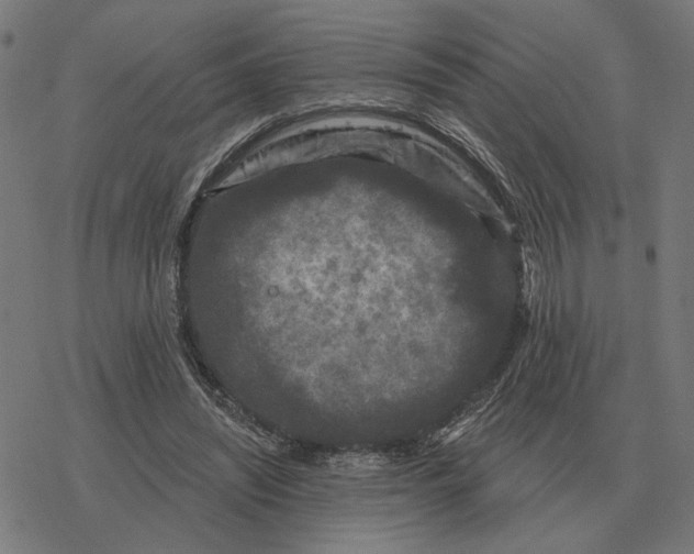 X0000077320444200611101502