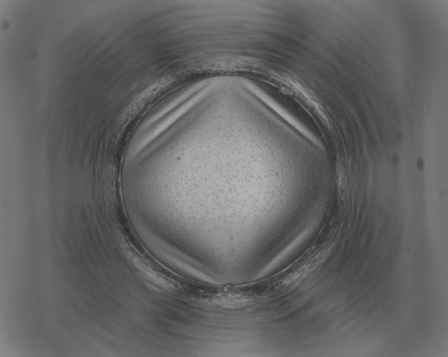 X0000077320445200611101502