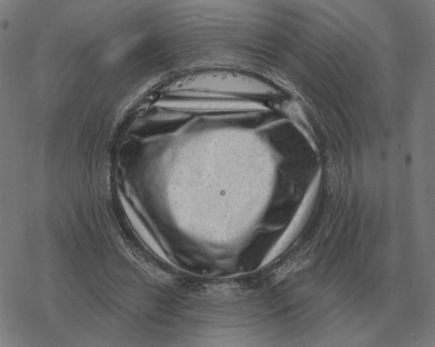 X0000077320446200611101502