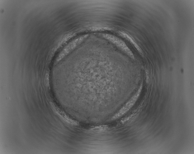 X0000077320447200611101502