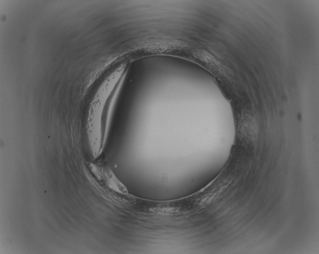 X0000077320448200611101502