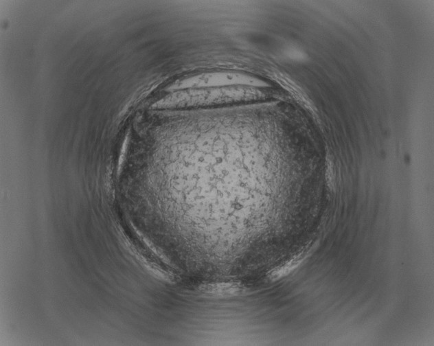 X0000077320449200611101502