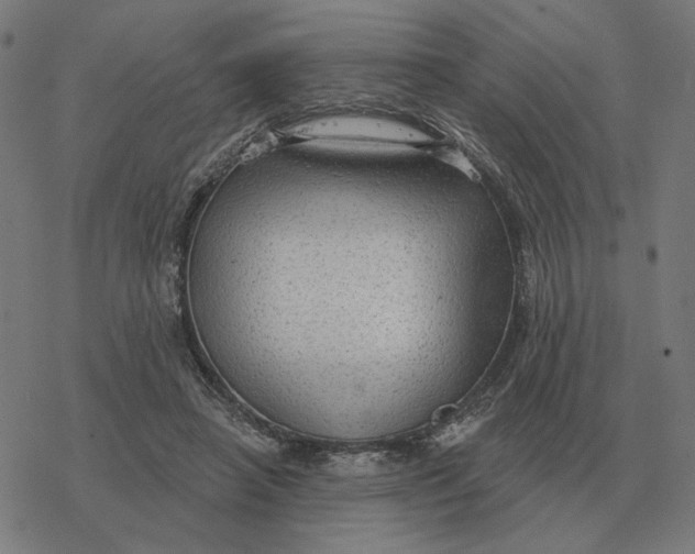 X0000077320450200611101502