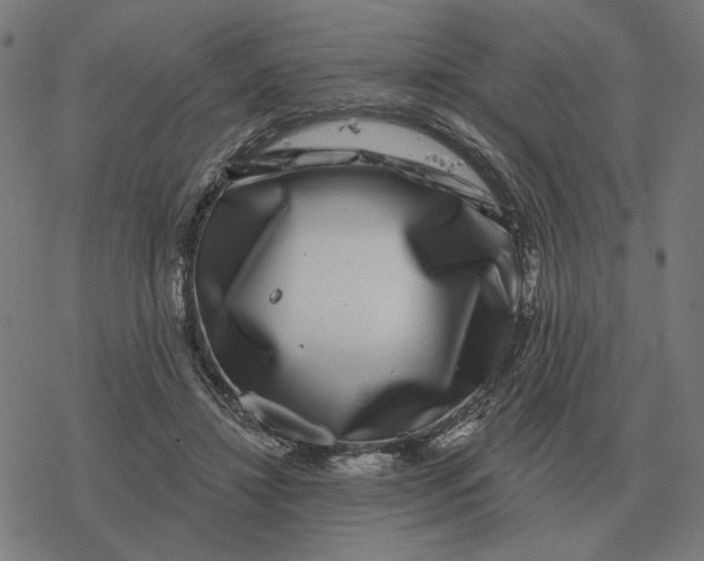 X0000077320452200611101502