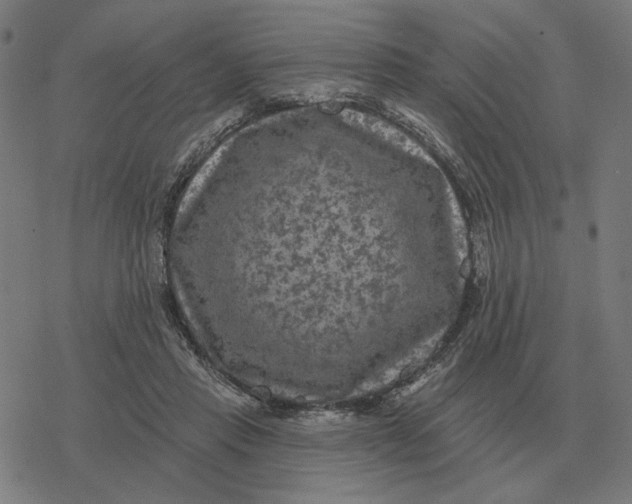 X0000077320453200611101502