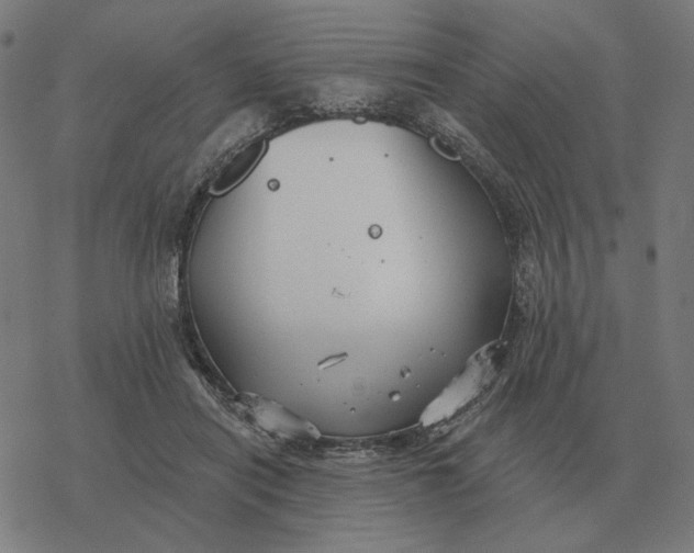 X0000077320454200611101502