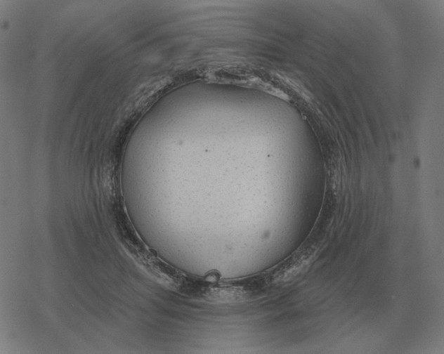 X0000077320455200611101502