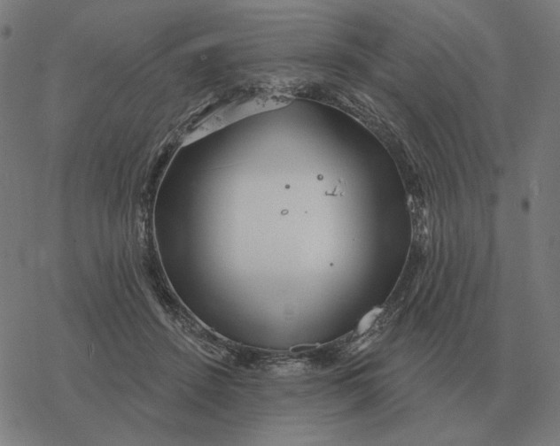 X0000077320456200611101502