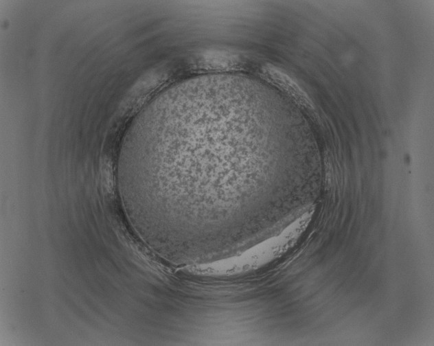 X0000077320457200611101502