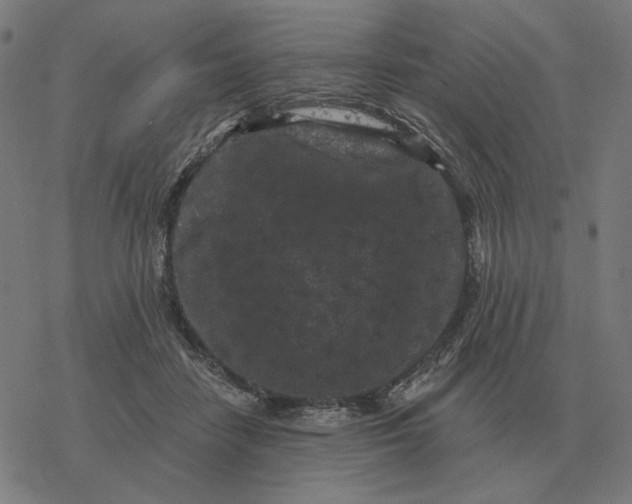 X0000077320458200611101502