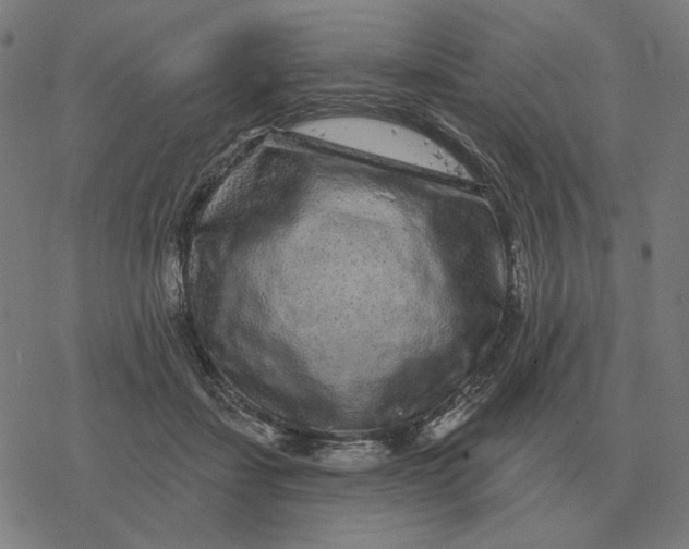 X0000077320459200611101502