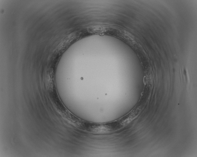 X0000077320460200611101502