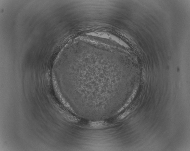 X0000077320461200611101502