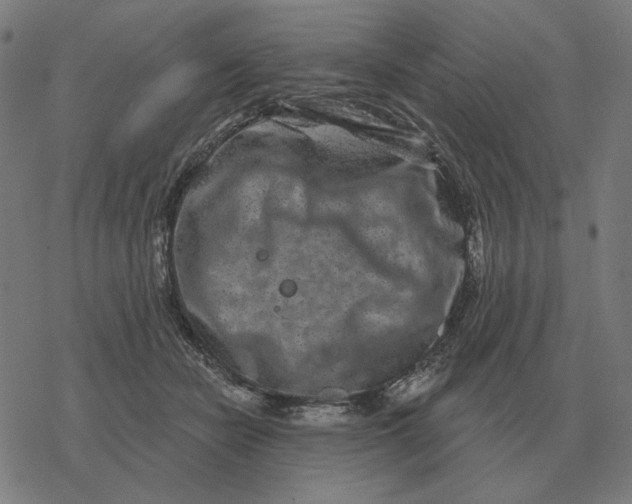 X0000077320462200611101502