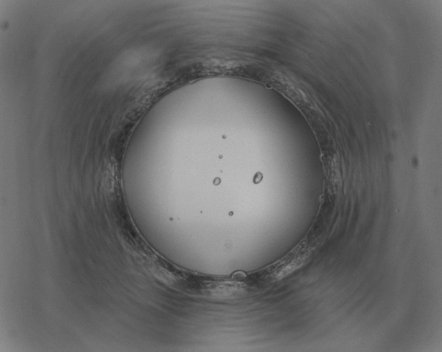 X0000077320463200611101502