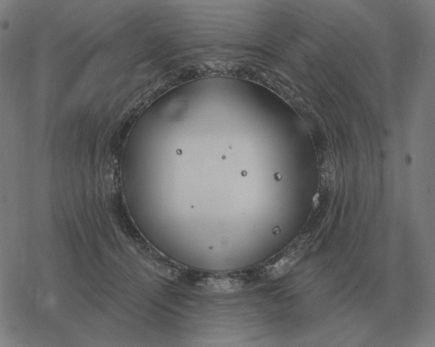 X0000077320464200611101502