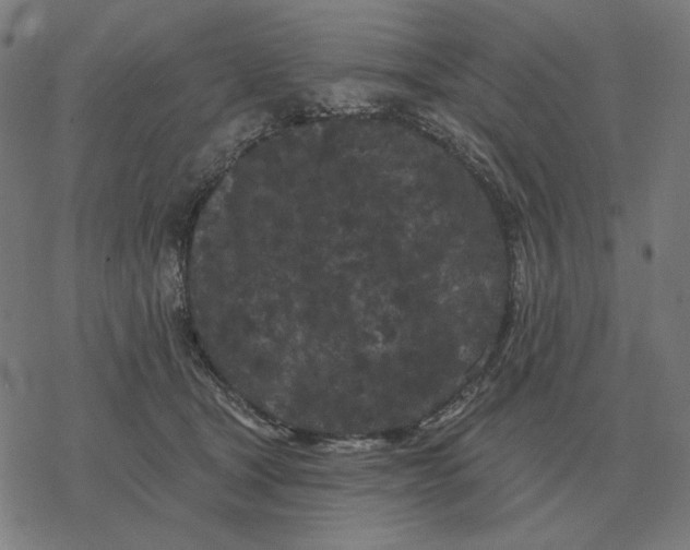 X0000077320465200611101502