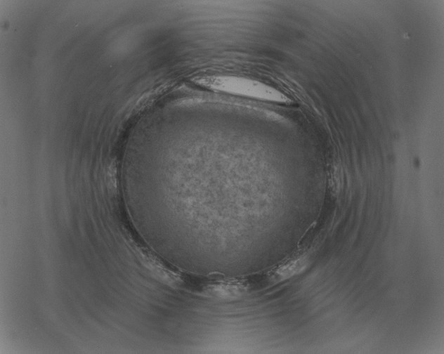 X0000077320466200611101502