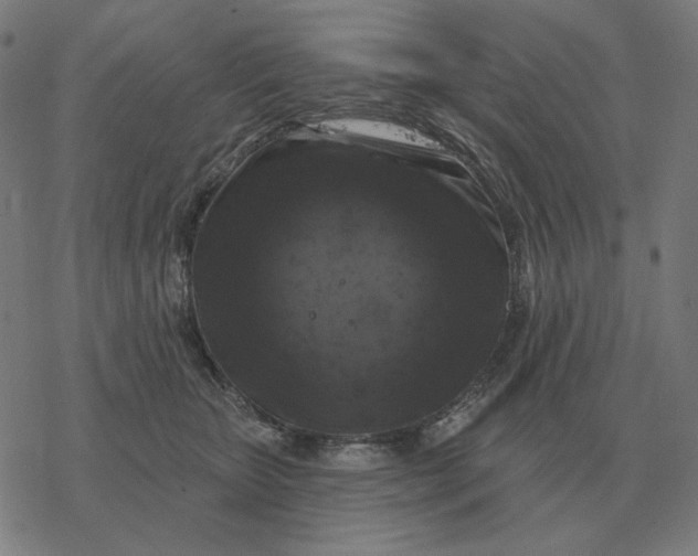 X0000077320467200611101502