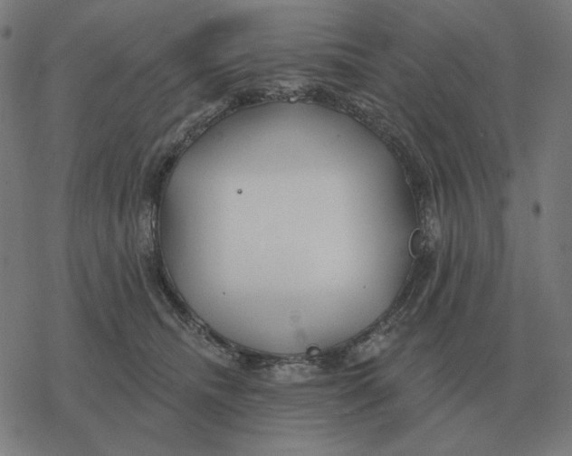 X0000077320468200611101502