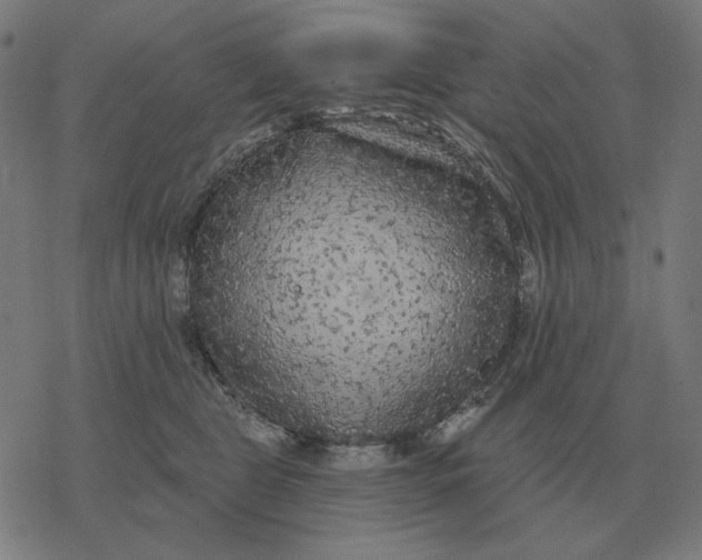 X0000077320469200611101502