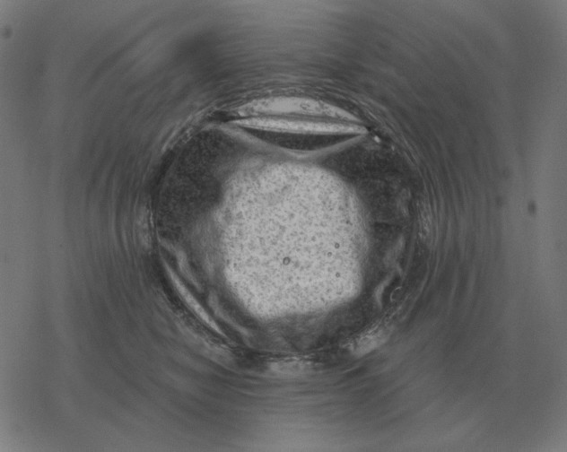 X0000077320470200611101502