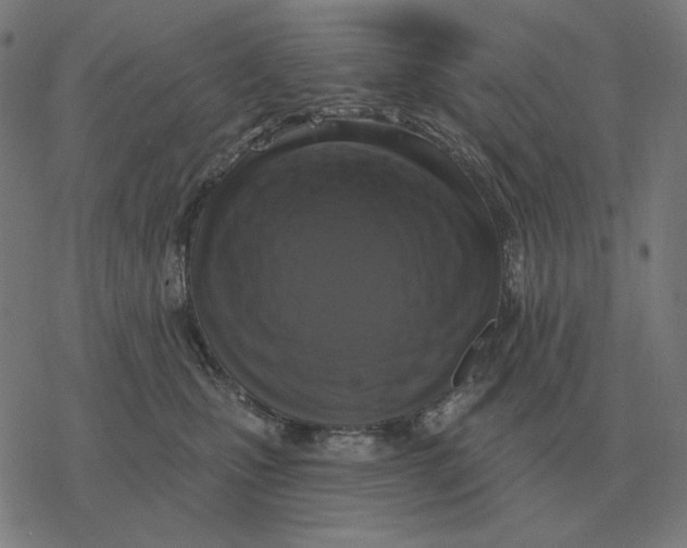 X0000077320471200611101502