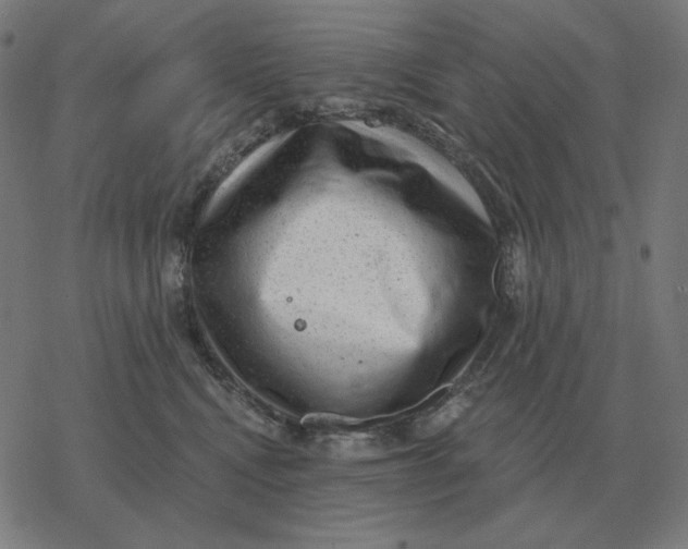 X0000077320472200611101502