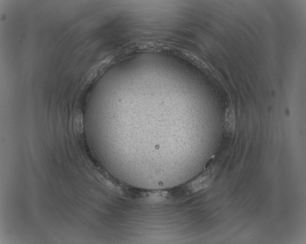 X0000077320474200611101502