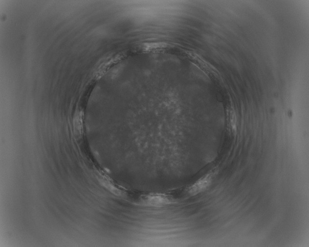 X0000077320475200611101502