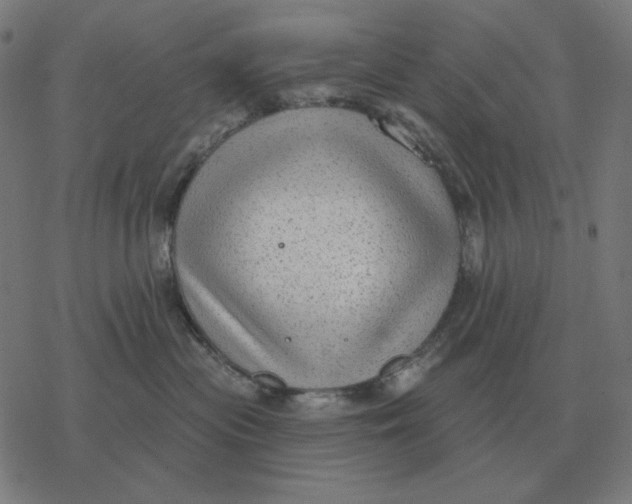 X0000077320477200611101503