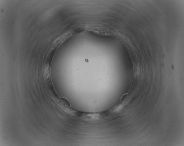 X0000077320478200611101503