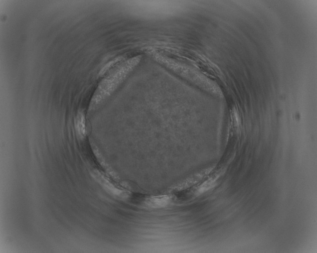 X0000077320479200611101503