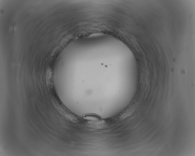 X0000077320480200611101503