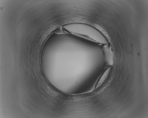 X0000077320481200611101502