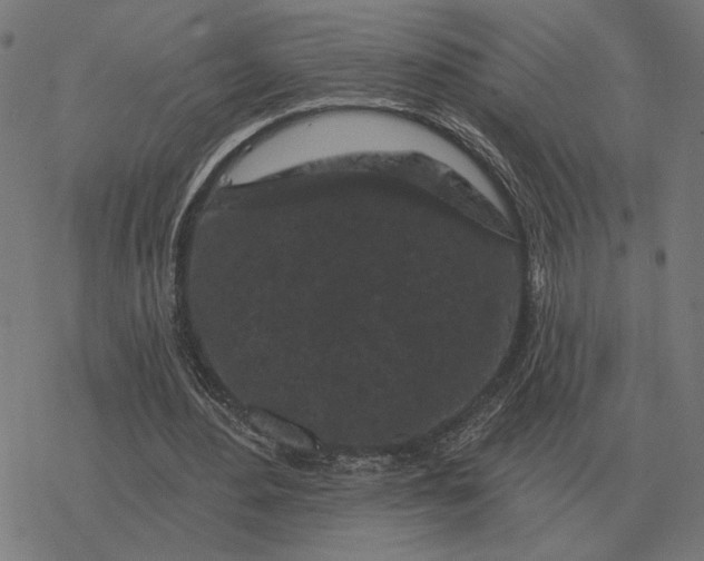 X0000077320484200611101502