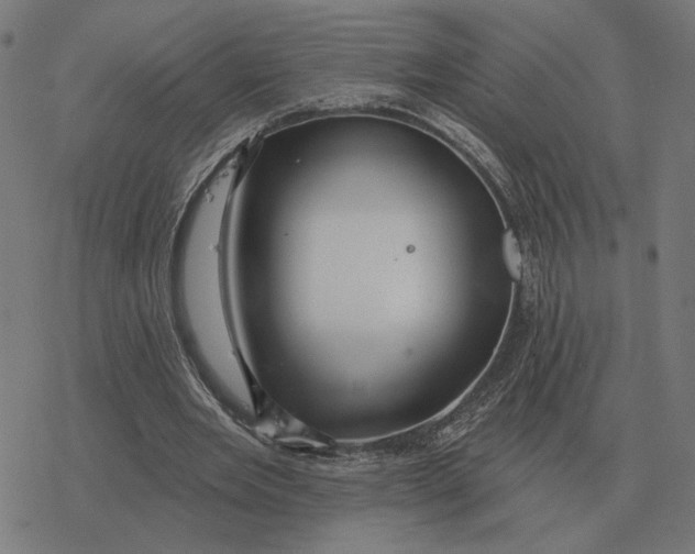 X0000077320485200611101502