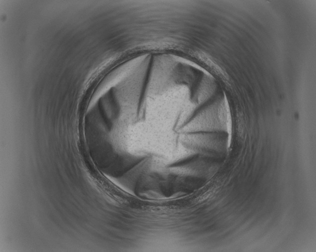 X0000077320486200611101502