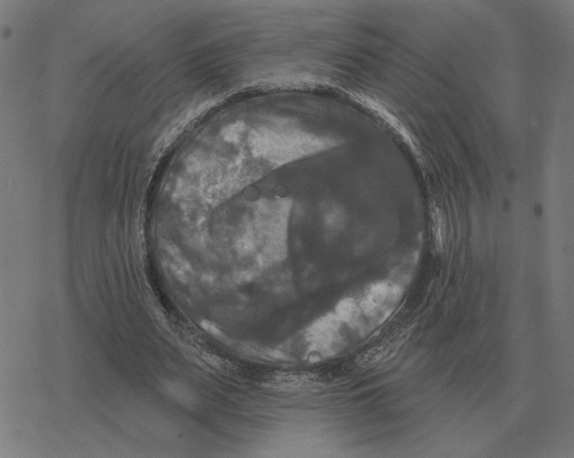 X0000077320487200611101502