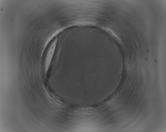 X0000077320488200611101502