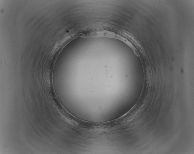 X0000077320489200611101502