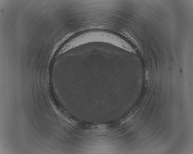 X0000077320492200611101502