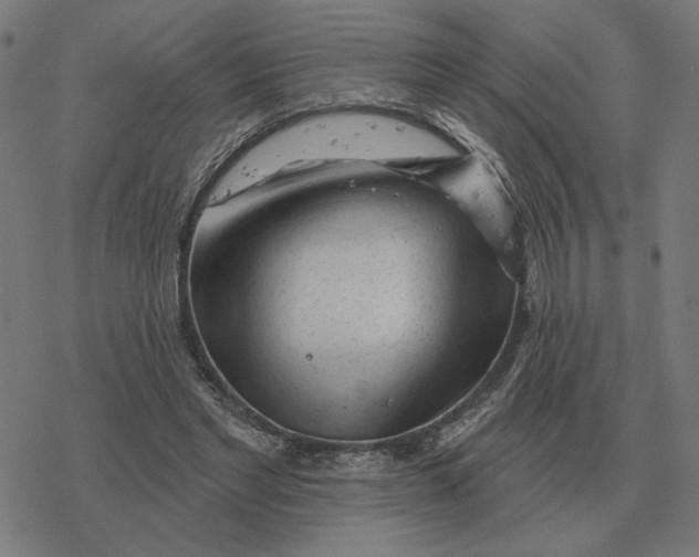 X0000077320493200611101502