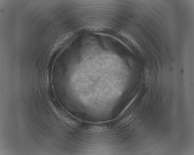 X0000077320494200611101502